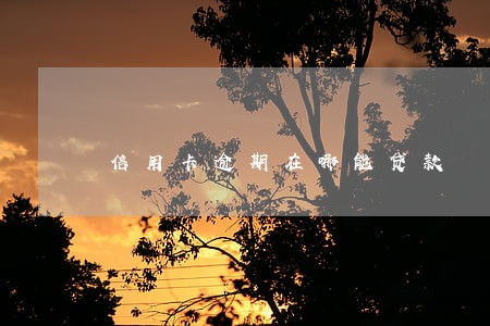 信用卡逾期在哪能贷款 信用卡逾期在哪能贷款