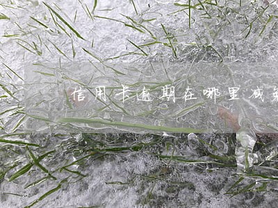 信用卡逾期在哪里减免