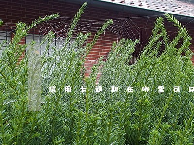 信用卡逾期在哪里可以贷到