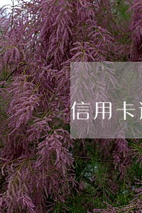 信用卡逾期在哪里查信用卡