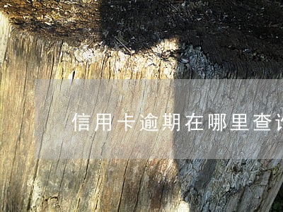 信用卡逾期在哪里查询信用 信用卡逾期在哪里查询信用