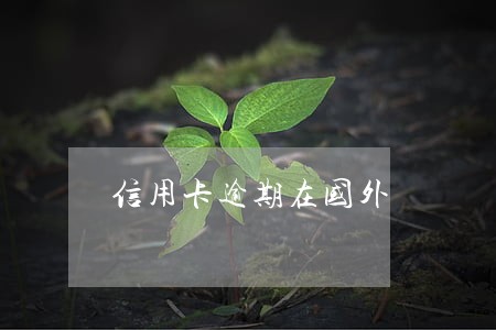 信用卡逾期在国外