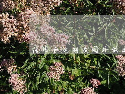 信用卡逾期在国外能回国吗 信用卡逾期在国外能回国吗