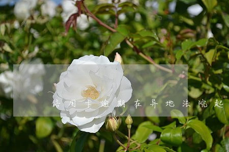 信用卡逾期在异地法院起诉 信用卡逾期在异地法院起诉