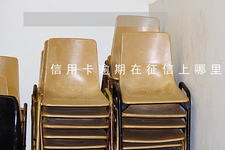信用卡逾期在征信上哪里看 信用卡逾期在征信上哪里看