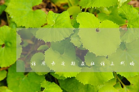 信用卡逾期在征信上影响多久 信用卡逾期在征信上影响多久
