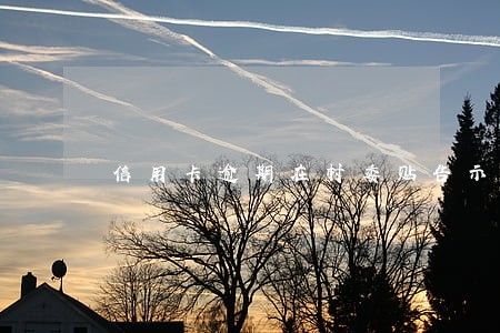 信用卡逾期在村委贴告示 信用卡逾期在村委贴告示