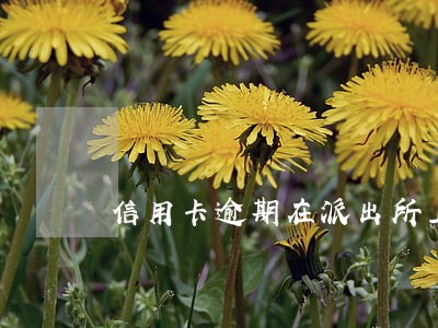 信用卡逾期在派出所上班