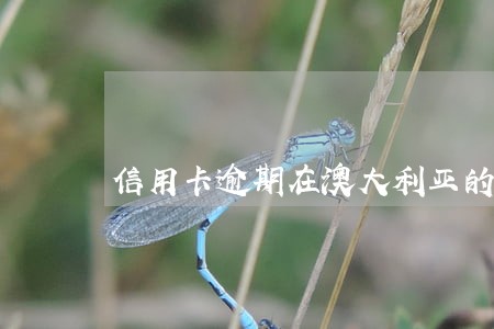 信用卡逾期在澳大利亚的处罚