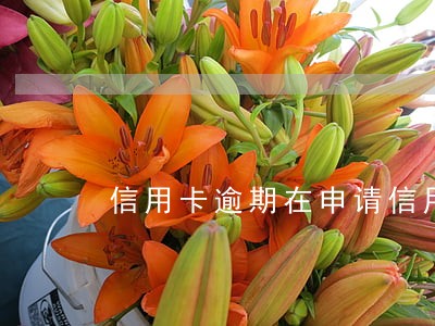 信用卡逾期在申请信用卡吗