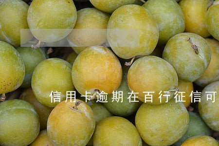 信用卡逾期在百行征信可以查到吗 信用卡逾期在百行征信可以查到吗