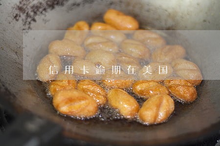 信用卡逾期在美国