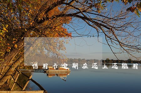 信用卡逾期在还上还能用吗