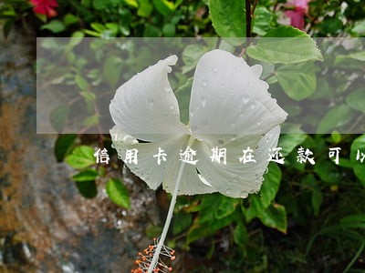 信用卡逾期在还款可以出国吗 信用卡逾期在还款可以出国吗