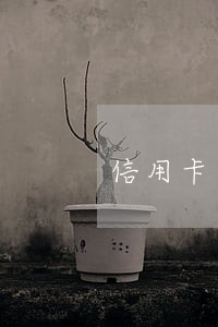 信用卡逾期在银行门口会报警吗