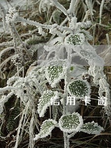 信用卡逾期地址 信用卡逾期地址