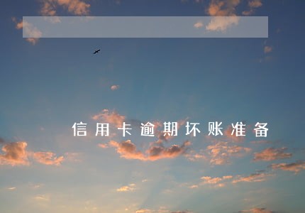信用卡逾期坏账准备 信用卡逾期坏账准备