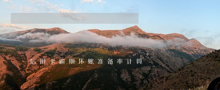 信用卡逾期坏账准备率计算
