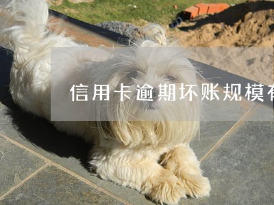 信用卡逾期坏账规模有多少 信用卡逾期坏账规模有多少