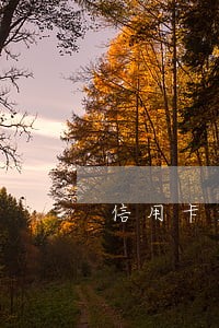 信用卡逾期坐不了火车吗 信用卡逾期坐不了火车吗