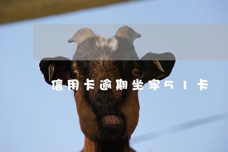 信用卡逾期坐牢51卡