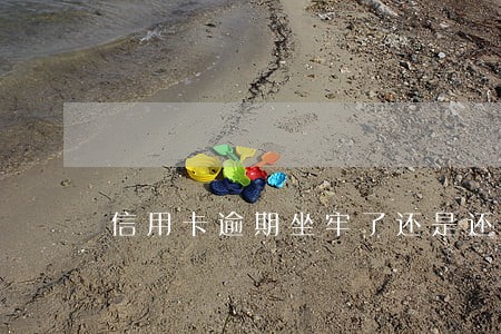 信用卡逾期坐牢了还是还不上