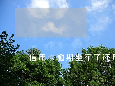信用卡逾期坐牢了还用还吗 信用卡逾期坐牢了还用还吗