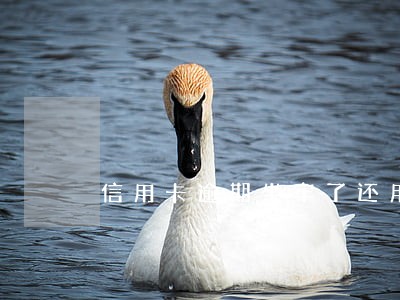 信用卡逾期坐牢了还用还款吗 信用卡逾期坐牢了还用还款吗