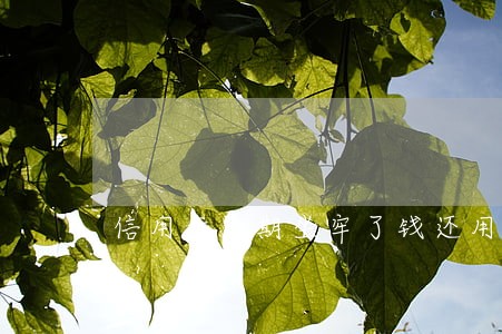 信用卡逾期坐牢了钱还用还 信用卡逾期坐牢了钱还用还