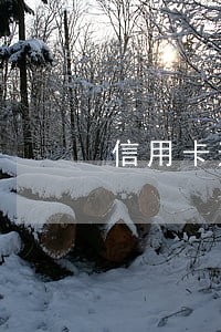 信用卡逾期坐牢了钱还要还吗 信用卡逾期坐牢了钱还要还吗