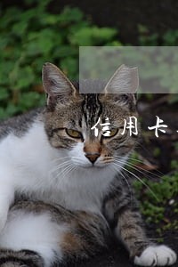 信用卡逾期坐牢冯 信用卡逾期坐牢冯