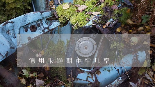 信用卡逾期坐牢几率 信用卡逾期坐牢几率