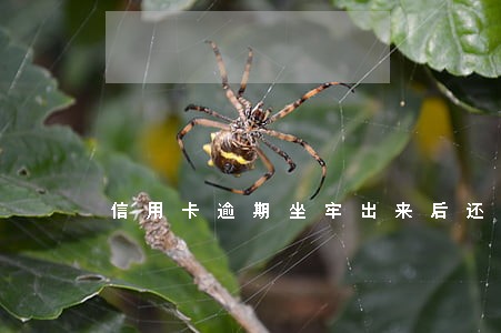 信用卡逾期坐牢出来后还要坐吗