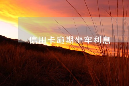 信用卡逾期坐牢利息