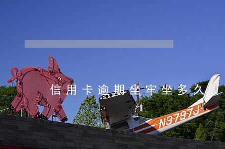 信用卡逾期坐牢坐多久