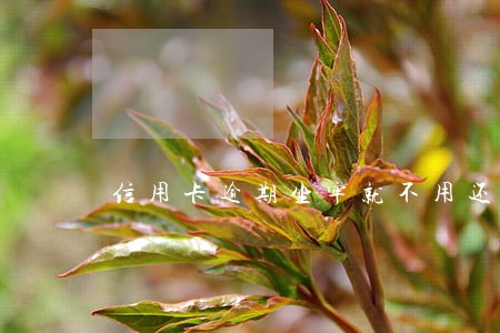 信用卡逾期坐牢就不用还了吗