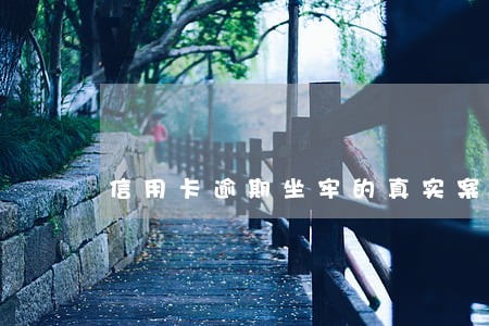 信用卡逾期坐牢的真实案例 信用卡逾期坐牢的真实案例