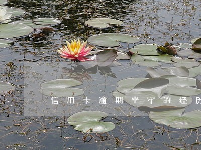 信用卡逾期坐牢的经历 信用卡逾期坐牢的经历