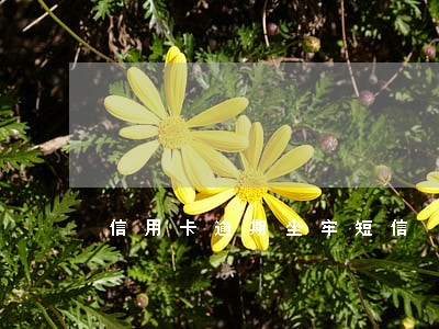 信用卡逾期坐牢短信 信用卡逾期坐牢短信