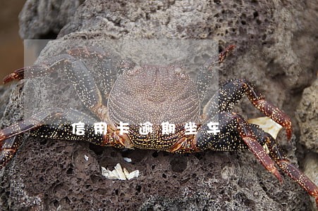 信用卡逾期坐车 信用卡逾期坐车