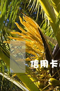 信用卡逾期坐飞机会被捉吗 信用卡逾期坐飞机会被捉吗