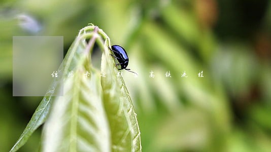 信用卡逾期坐高铁流程 信用卡逾期坐高铁流程