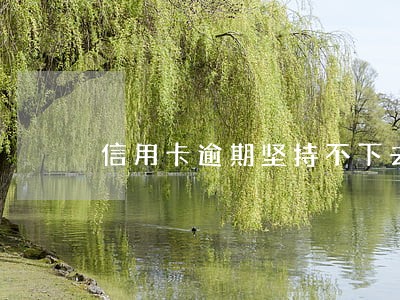 信用卡逾期坚持不下去了