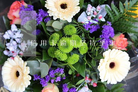 信用卡逾期坚持坐牢 信用卡逾期坚持坐牢