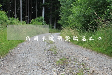 信用卡逾期垫款怎么办 信用卡逾期垫款怎么办