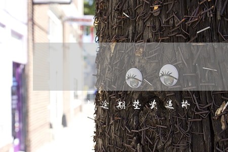 信用卡逾期垫资过桥