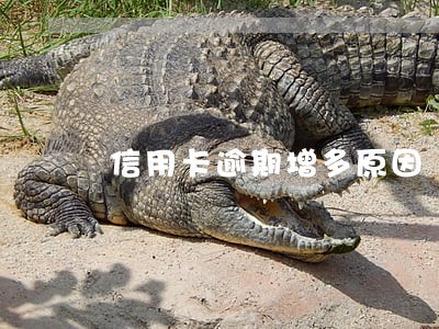 信用卡逾期增多原因 信用卡逾期增多原因