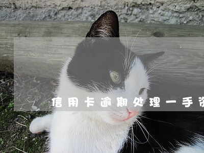 信用卡逾期处理一手资源