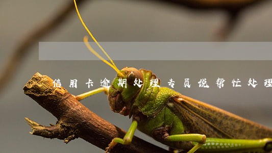 信用卡逾期处理专员说帮忙处理 信用卡逾期处理专员说帮忙处理