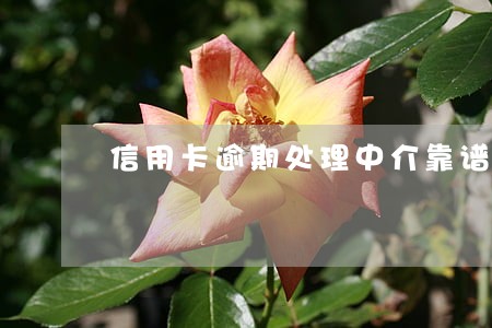 信用卡逾期处理中介靠谱吗 信用卡逾期处理中介靠谱吗
